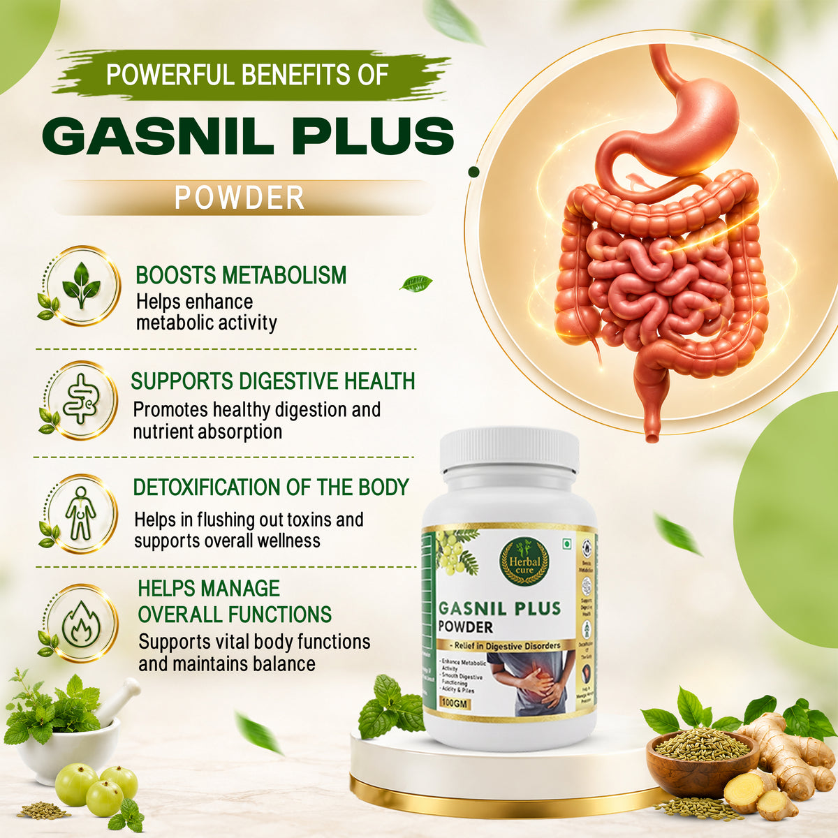 Herbal Gasnil Plus Powder For Digestive Health & Gas Relief