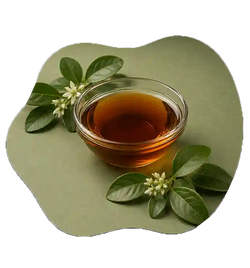 Gandhpura Oil