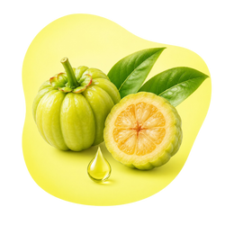 Garcinia Cambogia