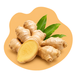 Ginger Extract