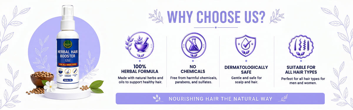 Why Choose Us?