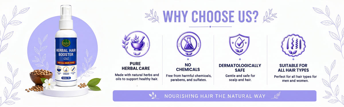 Why Choose Us?