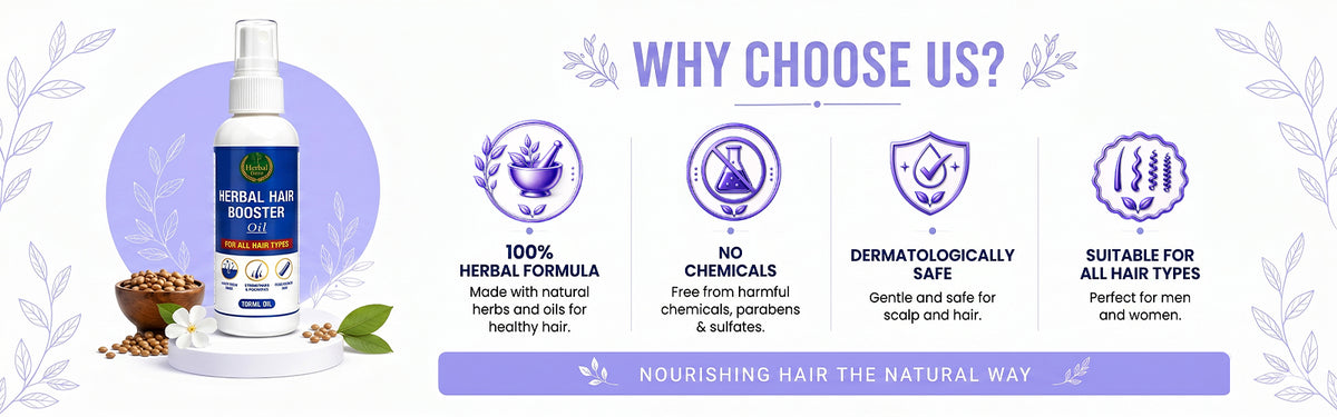 Why Choose Us?