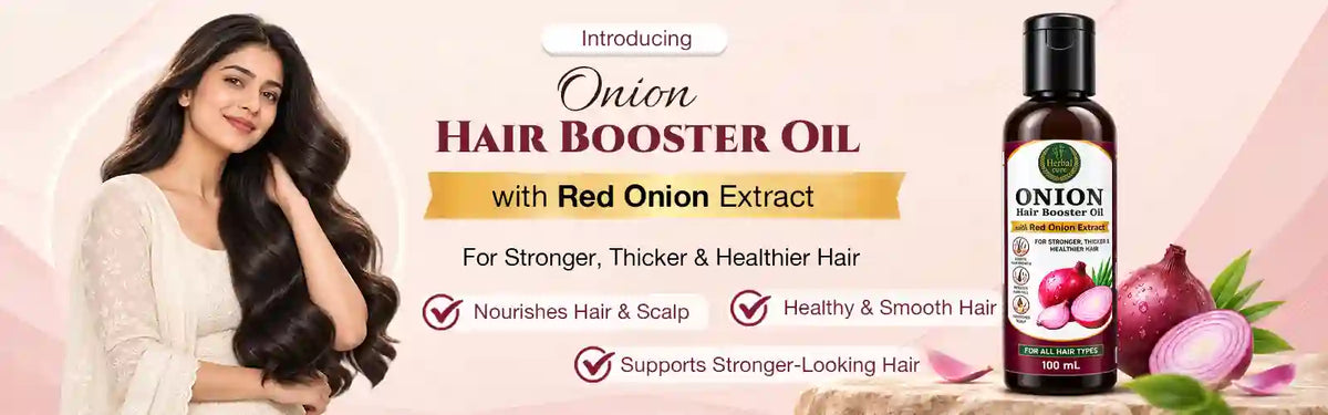 Product Introduction