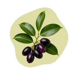Jamun