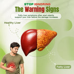 Herbal Green Tea Liver Fat Burner
