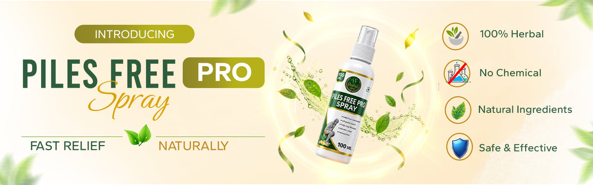 Your Daily Comfort Solution