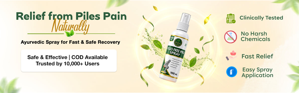 Your Daily Comfort Solution