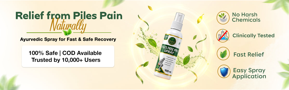 Your Daily Comfort Solution