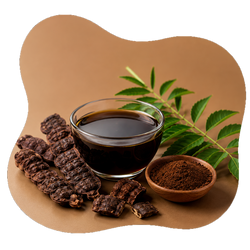 Shikakai Extract