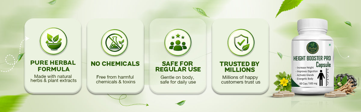 WHY CHOOSE US