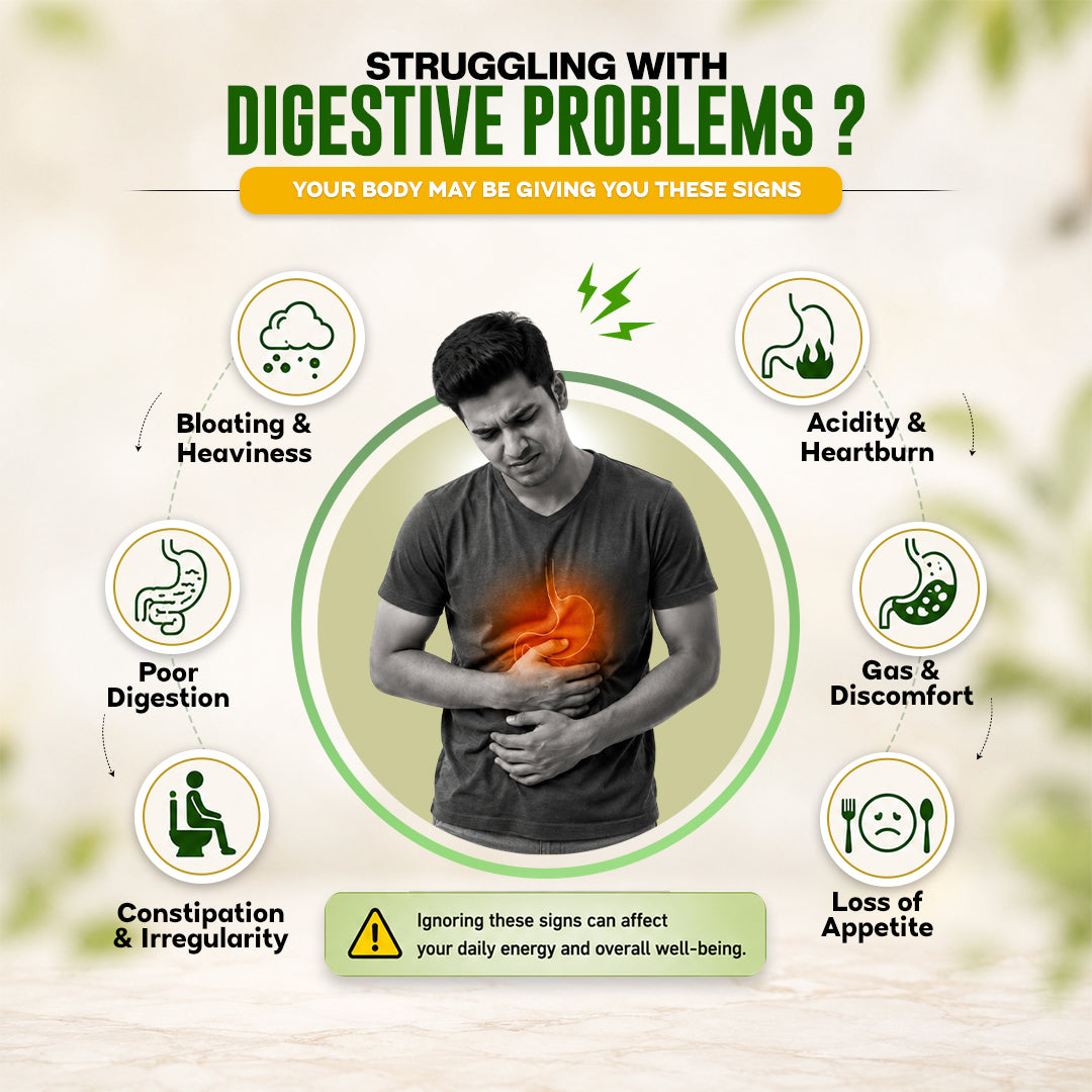 Herbal Gasnil Plus Powder For Digestive Health & Gas Relief